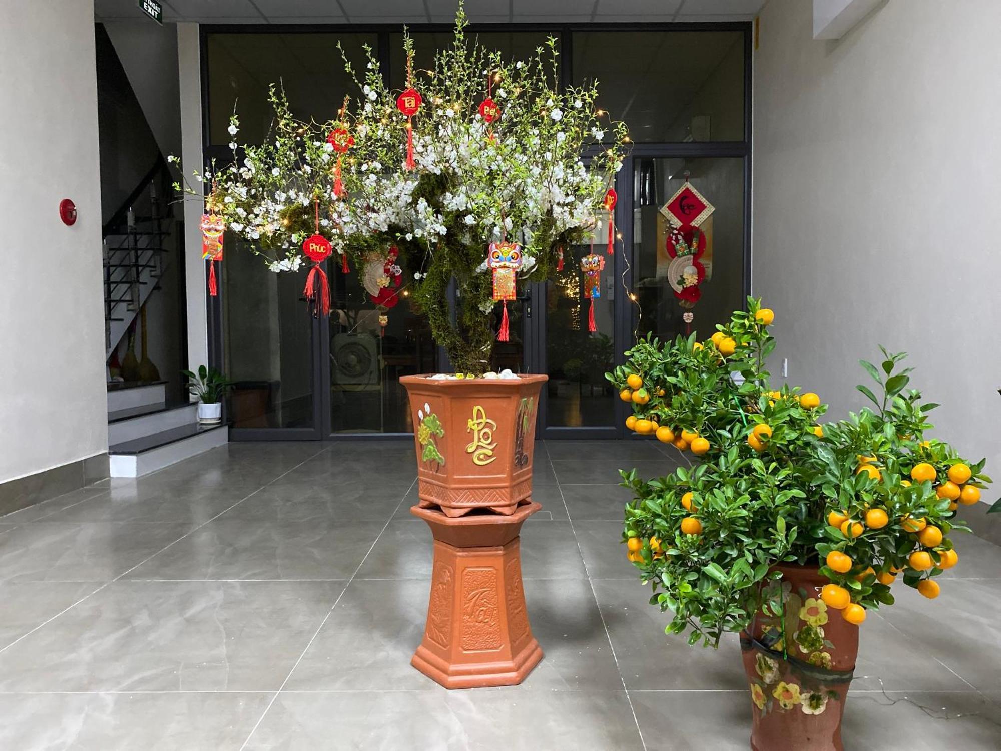 G-Space Apartment Hai Phong Exterior foto